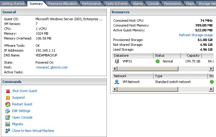 VMware ESX Virtual Machine VMDK  usages before filling it up